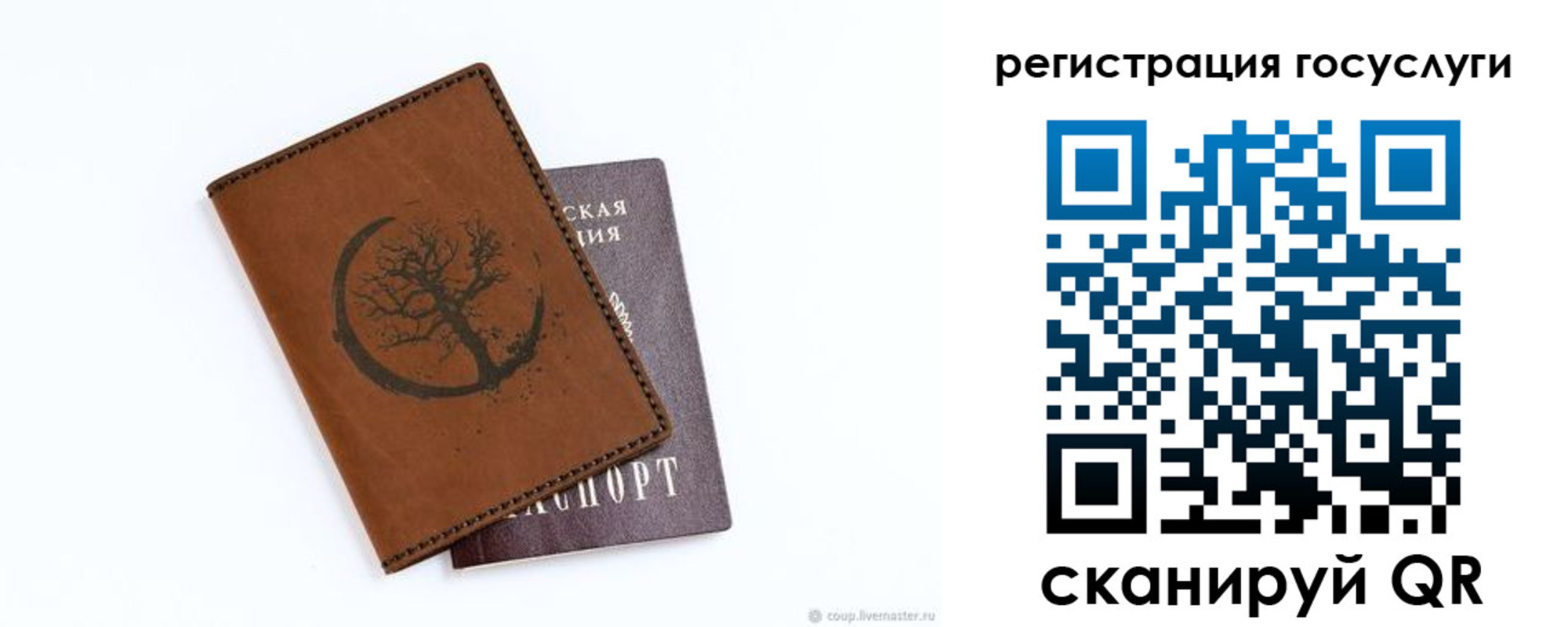 прописка для школы в Мурманске